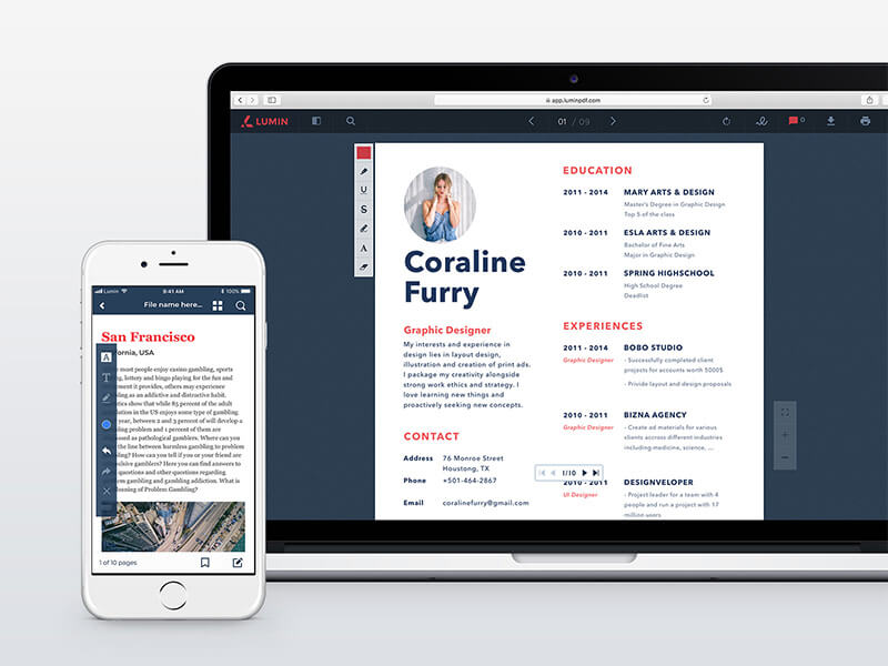 LuminPDF, designveloper project