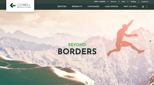 website-development-companies