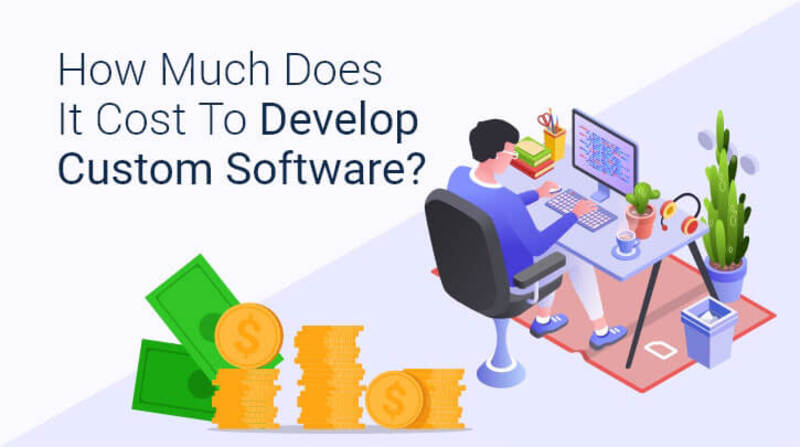 software development How much does custom <a class=