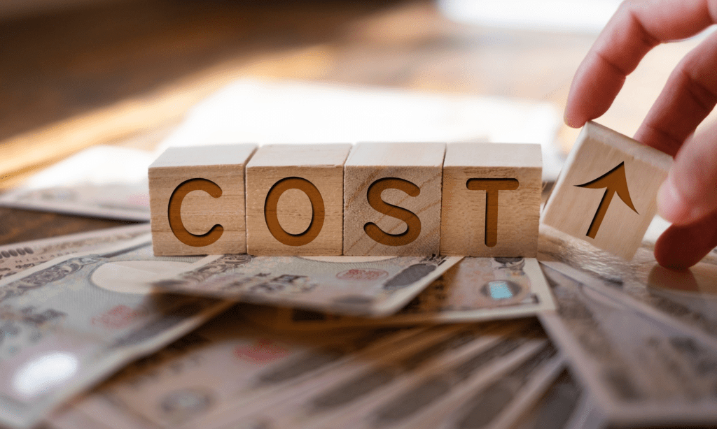 How Much Does Custom eCommerce Website Development Cost?